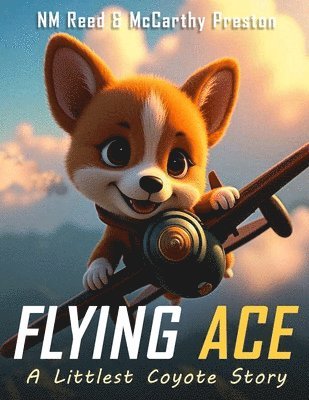 Nm Reed, McCarthy Preston - Flying Ace, Häftad