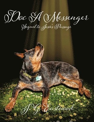 J G Eastwood - Doc A Messenger, Häftad. Tillgänglighet: Lägg i varukorg