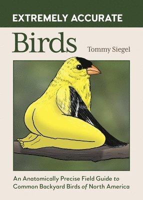 Tommy Siegel - Extremely Accurate Birds, Inbunden