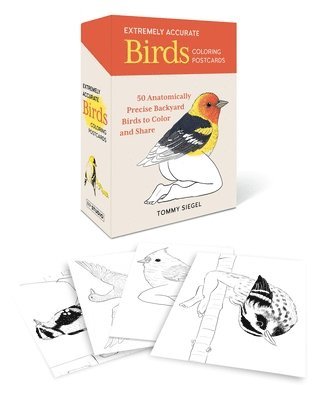 Tommy Siegel - Extremely Accurate Birds Coloring Postcards, Övrigt