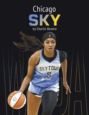 Charlie Beattie - Chicago Sky, Häftad. Tillgänglighet: Lägg i varukorg