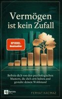 Ferhat Kacmaz - Vermögen ist kein Zufall, Häftad