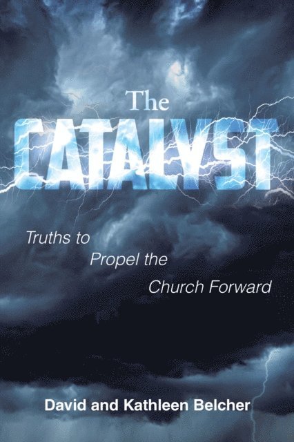 Kathleen Belcher, David - CATALYST, E-bok