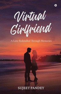 Virtual Girlfriend