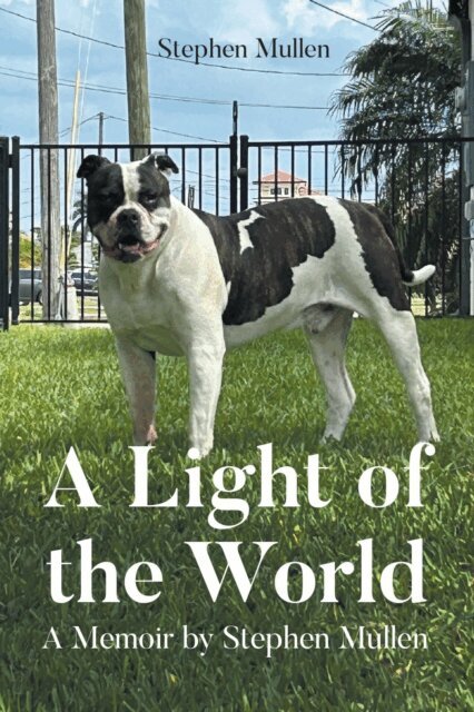 Stephen Mullen - Light of the World, E-bok