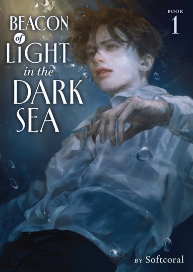 Beacon of Light in the Dark Sea (Novel) Vol. 1
