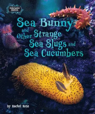 Rachel Rose - Sea Bunny and Other Strange Sea Slugs and Sea Cucumbers, Inbunden. Tillgänglighet: Lägg i varukorg