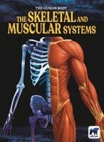 Clare Hibbert - The Skeletal and Muscular Systems, Inbunden