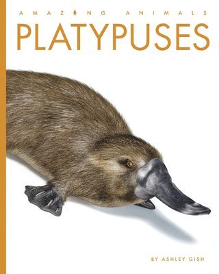 Ashley Gish - Platypuses, Inbunden