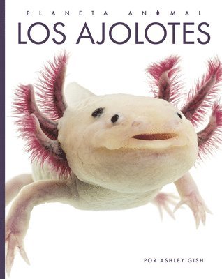 Los Ajolotes