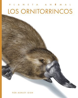 Los Ornitorrincos