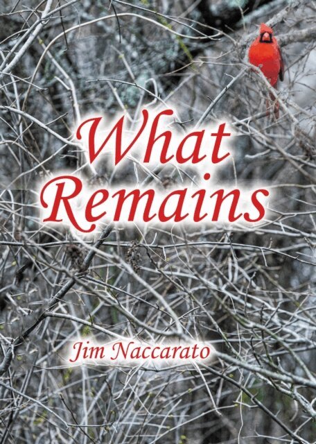 Jim Naccarato - What Remains, E-bok