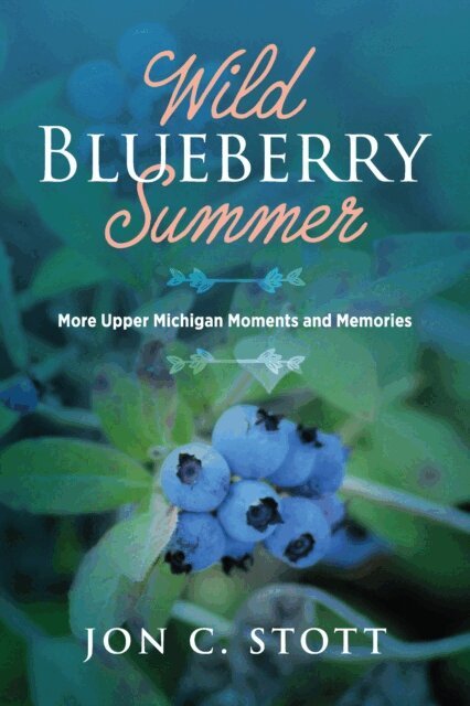 Jon C. Stott - Wild Blueberry Summer, E-bok