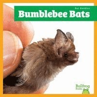 Jenna Lee Gleisner - Bumblebee Bats, Inbunden. Tillgänglighet: Lägg i varukorg