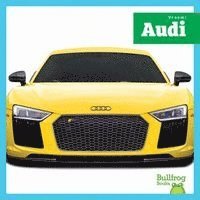 Mari C. Schuh - Audi, Inbunden
