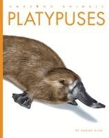 Ashley Gish - Platypuses, Häftad