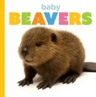 Graham Morgan - Baby Beavers, Häftad. Tillgänglighet: Lägg i varukorg