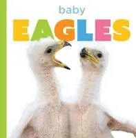 Graham Morgan - Baby Eagles, Häftad. Tillgänglighet: Lägg i varukorg