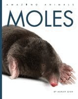 Moles