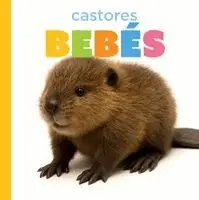 Graham Morgan - Castores Bebés, Häftad. Tillgänglighet: Lägg i varukorg