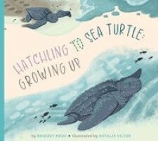 Bridget Heos - Hatchling to Sea Turtle: Growing Up, Häftad. Tillgänglighet: Lägg i varukorg