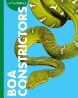 Curious about Boa Constrictors