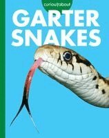 Curious about Garter Snakes