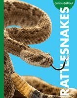 Rachel Grack - Curious about Rattlesnakes, Häftad