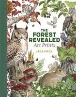 Jada Fitch - The Forest Revealed Art Prints, Inbunden. Tillgänglighet: Kommande
