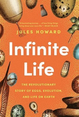 Jules Howard - Infinite Life, Häftad