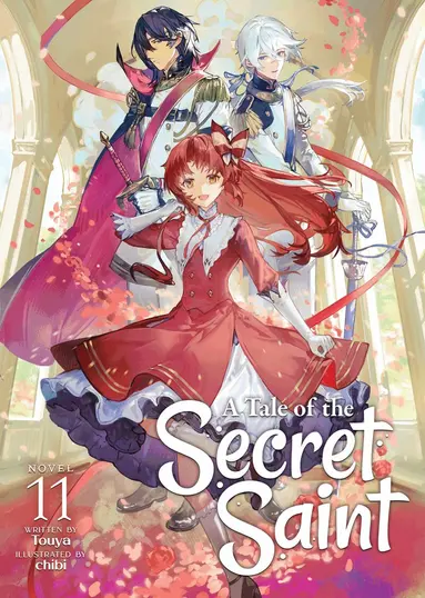 Touya - Tale of the Secret Saint (Light Novel) Vol. 11, Häftad