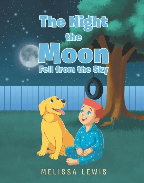 Melissa Lewis - Night the Moon Fell from the Sky, E-bok