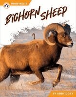 Abby Doty - Bighorn Sheep, Inbunden