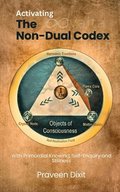 Activating the Non-Dual Codex : With Primordial Knowing, Self-Enquiry and Stillness
