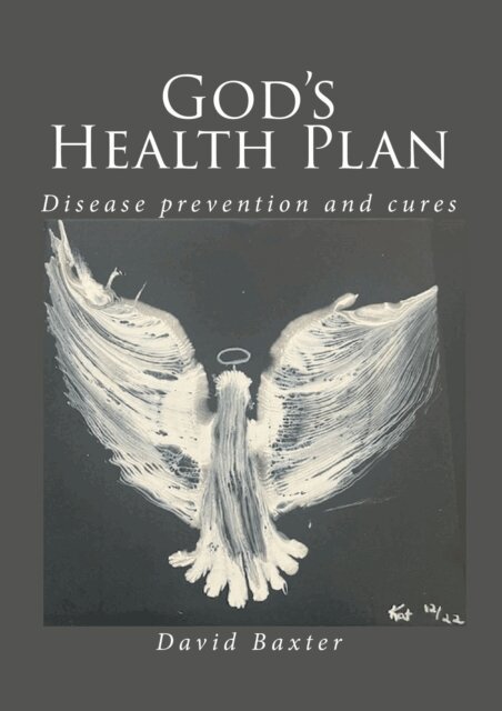 David Baxter - God's Health Plan, E-bok