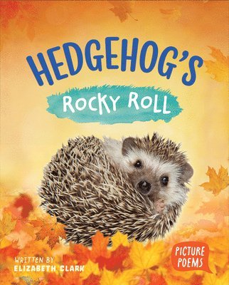 Elizabeth Clark - Hedgehog's Rocky Roll, Inbunden. Tillgänglighet: Lägg i varukorg
