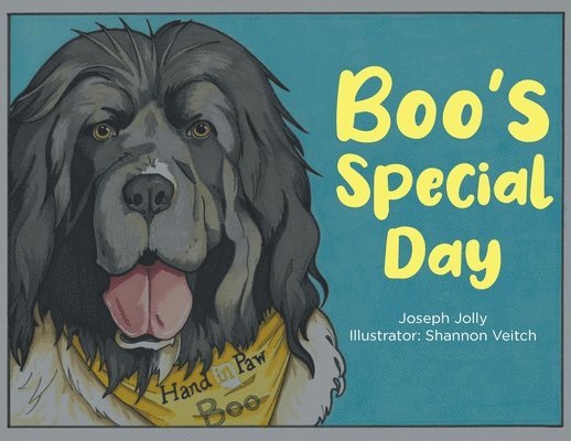 Joseph Jolly - Boo's Special Day, Häftad