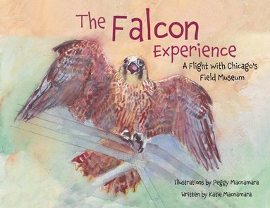 Falcon Experience by Katie Macnamara