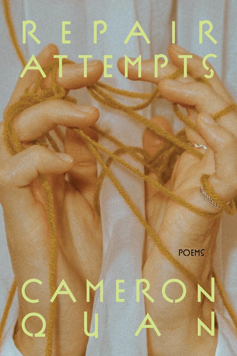 Cameron Quan - Repair Attempts, Häftad