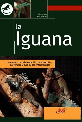 iguana
