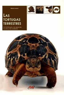Marta Avanzi - tortugas terrestres, Inbunden. Tillgänglighet: Lägg i varukorg