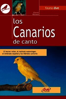 Gianni Ravazzi - canarios de canto, Inbunden