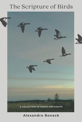Alexandra Bonack - Scripture of Birds, Häftad