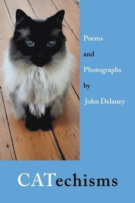 John Delaney - CATechisms, Häftad