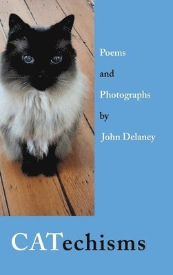John Delaney - CATechisms, Inbunden