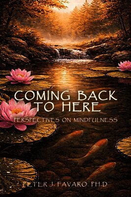 Peter J Favaro - Coming Back to Here, Häftad