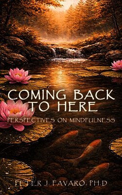 Peter J Favaro - Coming Back to Here, Inbunden