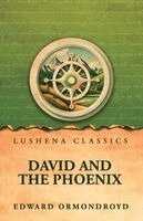 Edward Ormondroyd - David and the Phoenix, Häftad