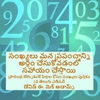 David E McAdams - సంఖ్యలు మన ప్రపంచాన్ని అర్థం చేసుకోవడంలో, Häftad
