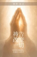 Peter Lengwe - 祷告 改变 一切, Häftad